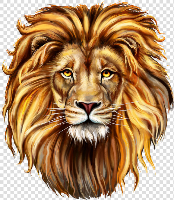 Lion Clip Art Png Image Free Download Searchpng   Draw A Lions Mane  Transparent PngTransparent PNG