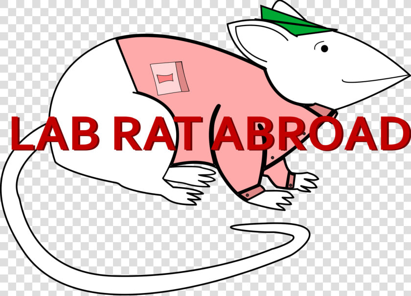 Transparent Refugees Clipart   Cartoon  HD Png DownloadTransparent PNG