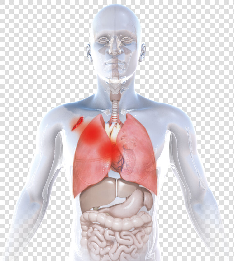 Manchas De Sangre Png  Transparent PngTransparent PNG