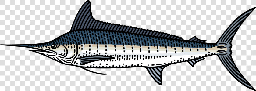 Marlin Clipart Xiphias   Spadron Fish  HD Png DownloadTransparent PNG