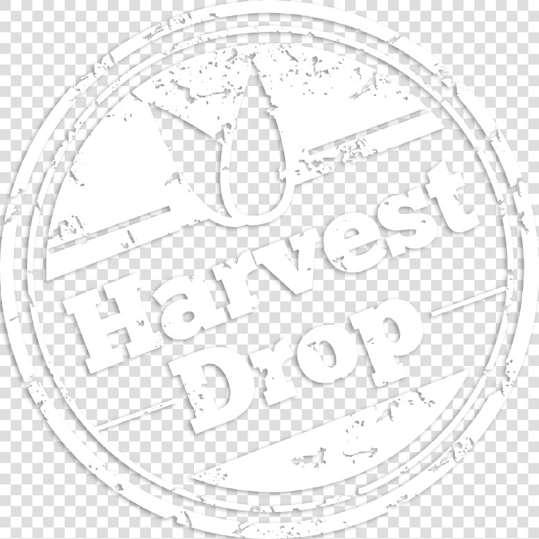 Photograph  HD Png DownloadTransparent PNG