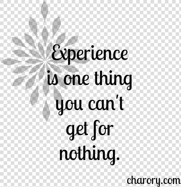 Experience Is One Thing You Can’t Get For Nothing   African Daisy  HD Png DownloadTransparent PNG