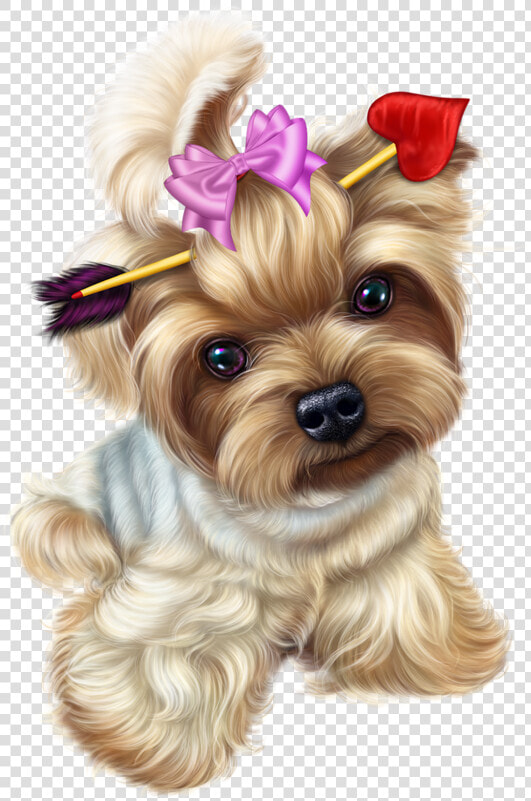 Transparent Yorkie Png Transparent Yorkie   Yorkie Transparent  Png DownloadTransparent PNG