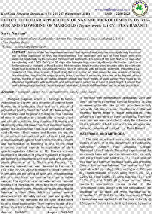 Document  HD Png DownloadTransparent PNG