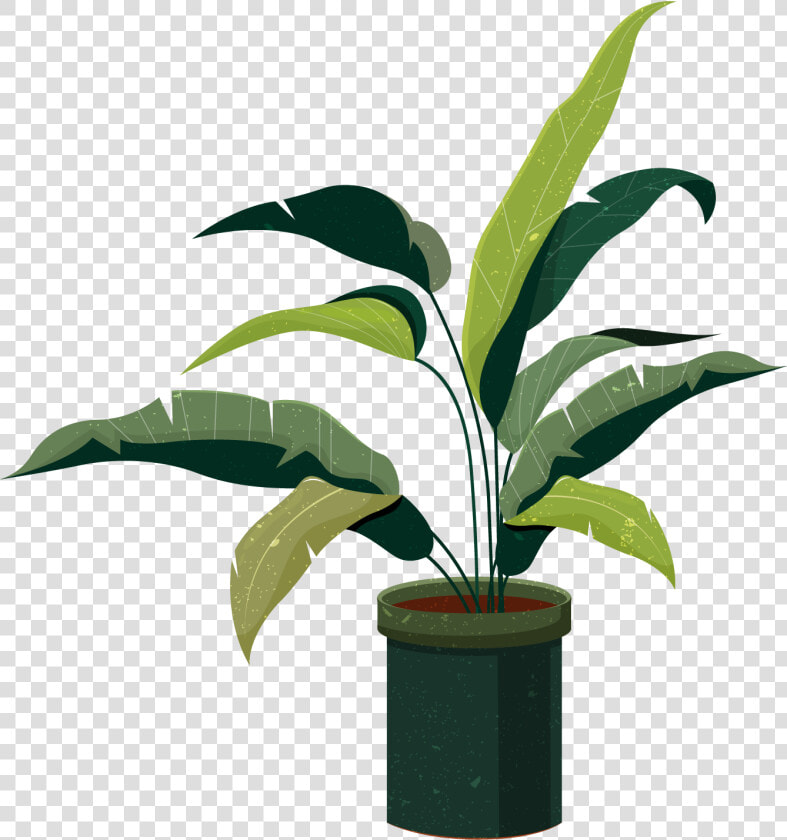 Tanaman Hias Vektor  HD Png DownloadTransparent PNG