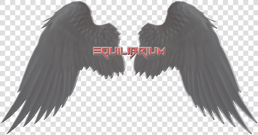 Castiel Angel Wings   Transparent Angel Wings Big  HD Png DownloadTransparent PNG