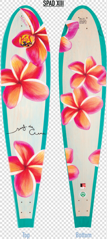 Transparent Plumeria Flower Png   Surfboard With Plumeria  Png DownloadTransparent PNG