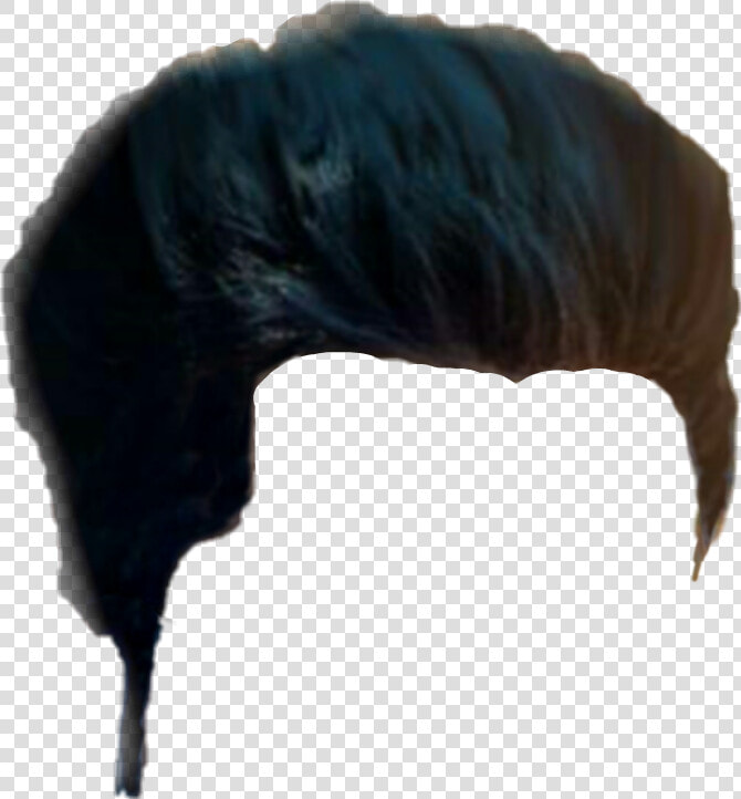 Hair Png  Hair Png Cb  Picsart Hair Png  Cb Hair Png    Crow  Transparent PngTransparent PNG