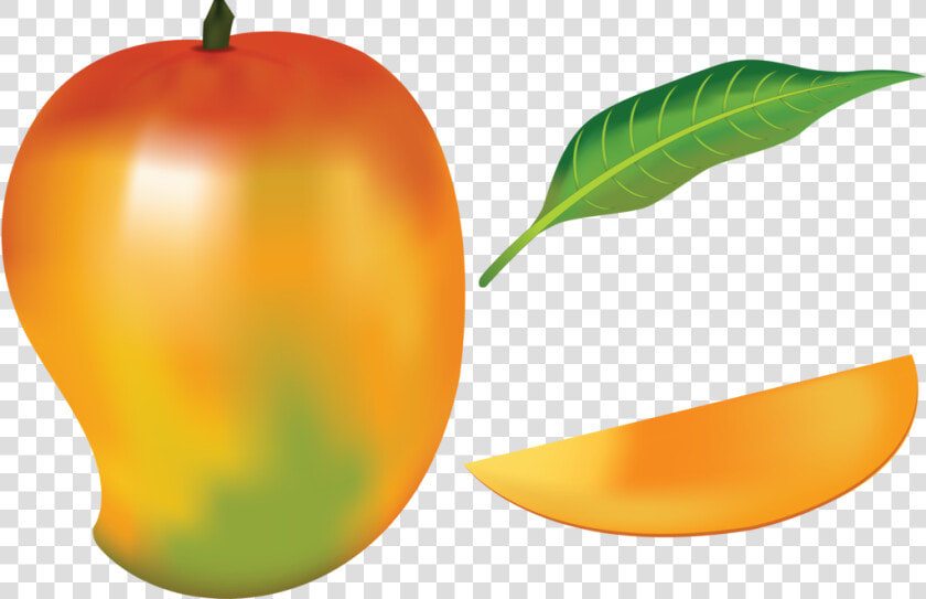 Mango Fruit By Navdbest On Deviantart Picture Royalty   Mango Drawing With Color  HD Png DownloadTransparent PNG