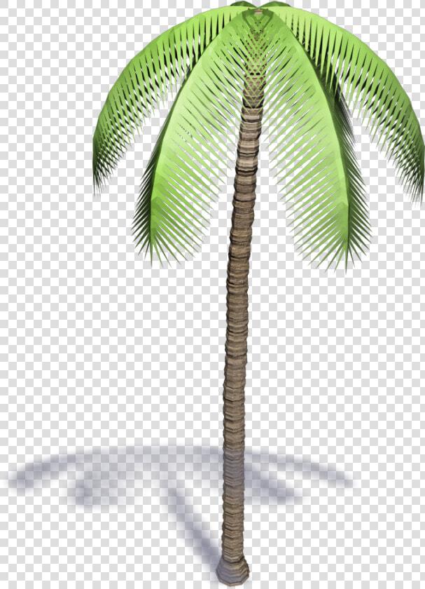 Palmera 3d Png  Transparent PngTransparent PNG