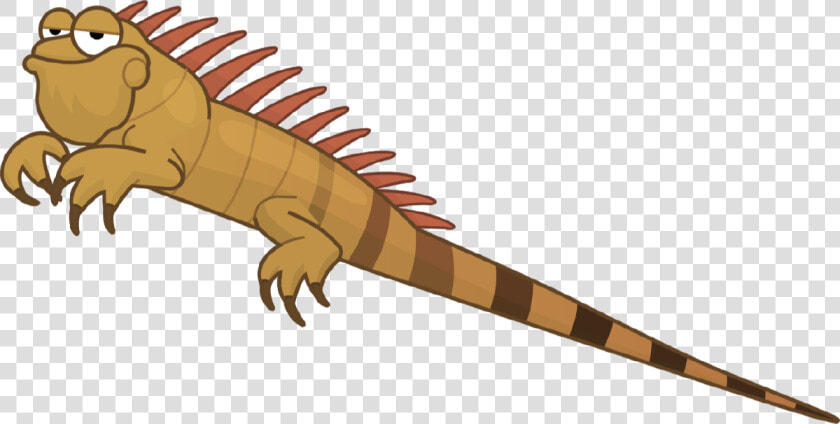 Green Iguana  HD Png DownloadTransparent PNG
