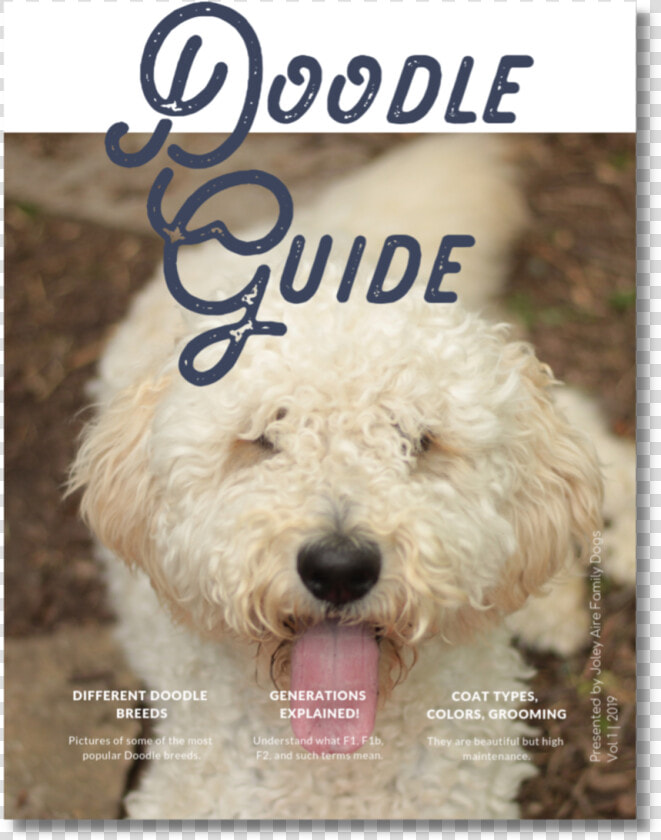 Doodle Guide Cover   Labradoodle  HD Png DownloadTransparent PNG