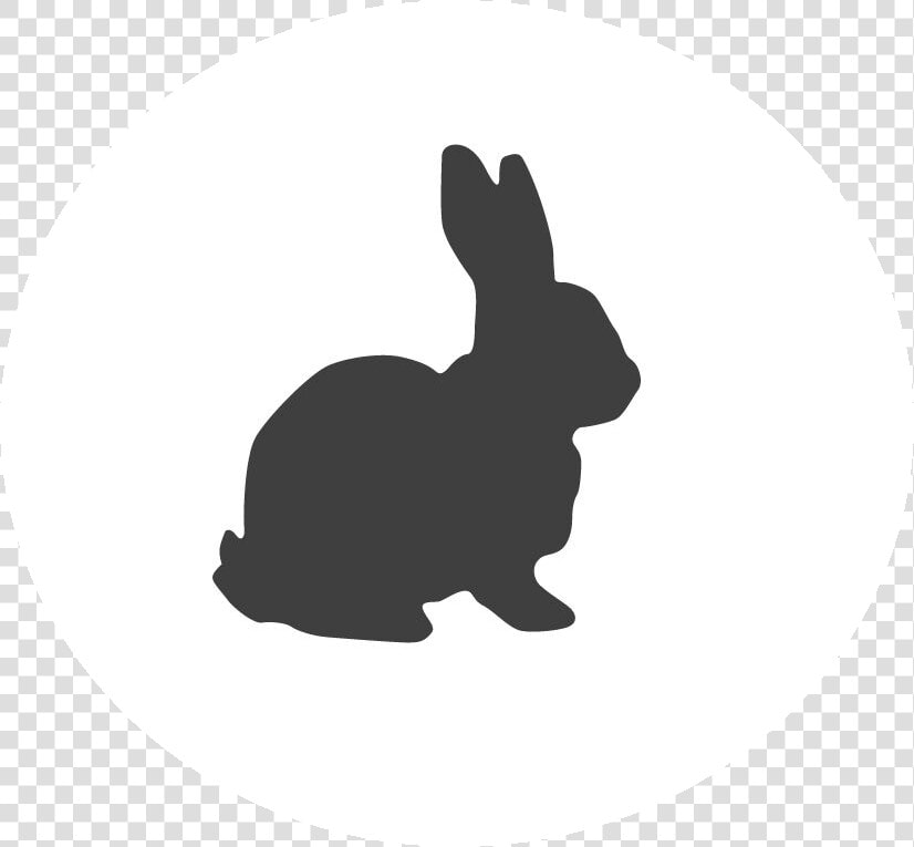 Clip Art Rabbit Silhouette Vector Graphics Portable   Clipart Rabbit Silhouette  HD Png DownloadTransparent PNG