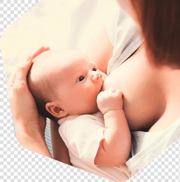Breastfeeding   Dapat Gawin Para Maiwasan Ang Malnutrisyon  HD Png DownloadTransparent PNG