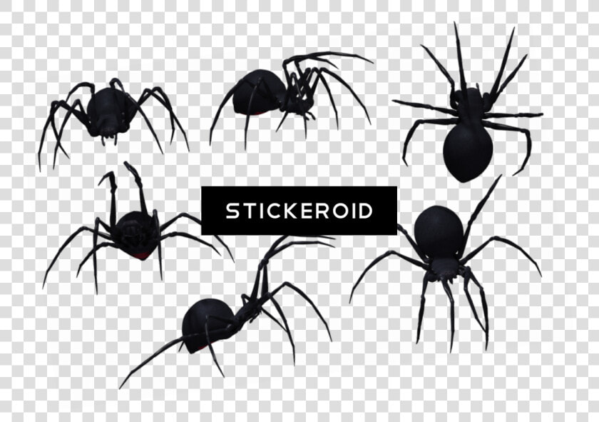 Free Hugs T shirt Amazing Halloween  1101x775   Png   Spider From Side Drawing  Transparent PngTransparent PNG