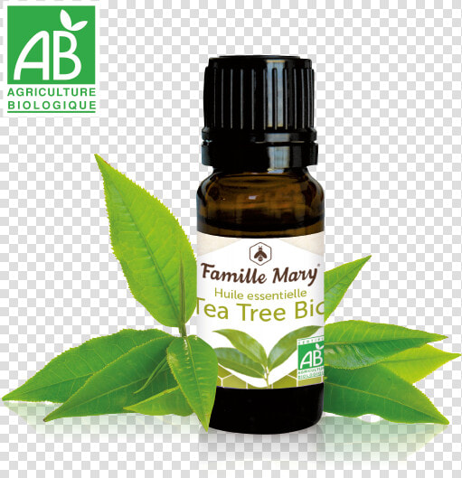 Huiles Essentielles Bio  HD Png DownloadTransparent PNG