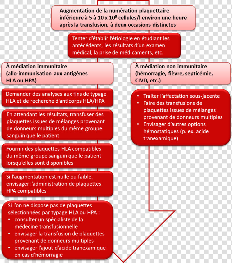 Transfusion Plaquettes  HD Png DownloadTransparent PNG