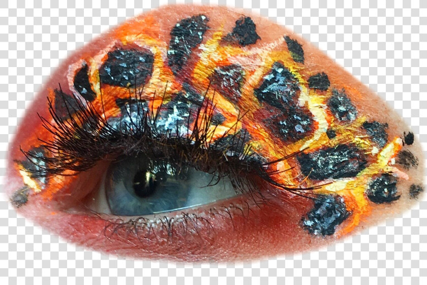 Close up  HD Png DownloadTransparent PNG