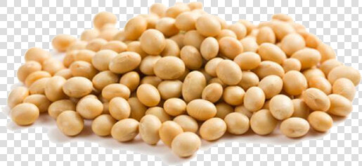 Beans Vector Soya Bean   Soya Png  Transparent PngTransparent PNG