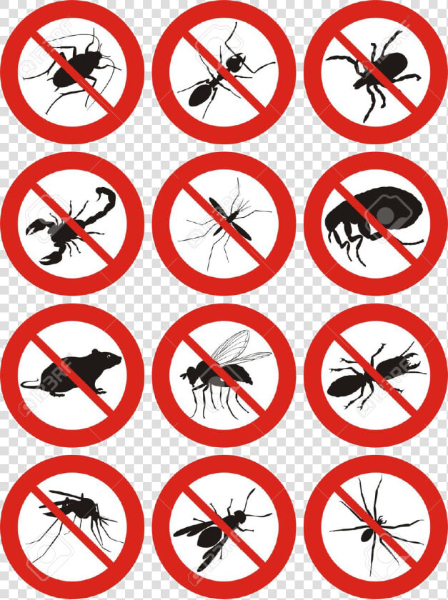 Pest Control Icon Free  HD Png DownloadTransparent PNG