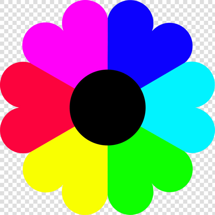 Flower symmetry petal  HD Png DownloadTransparent PNG