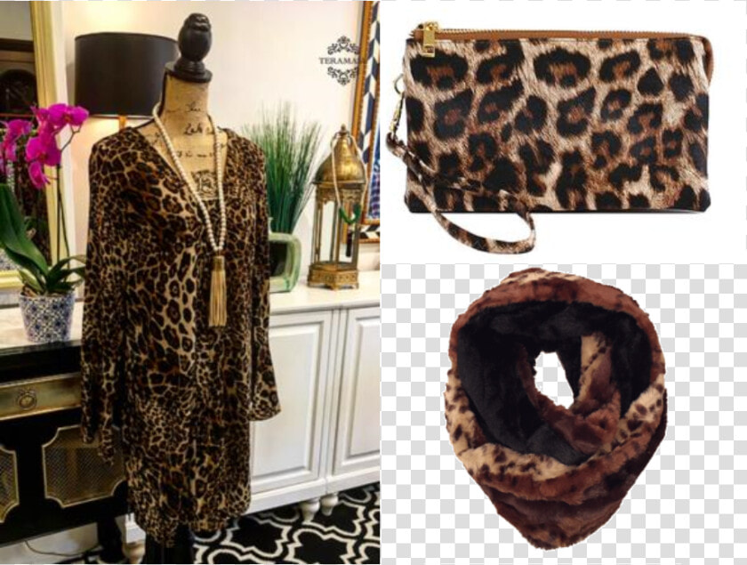 Transparent Leopard Print Png   Fashion Style Bold And Chic  Png DownloadTransparent PNG