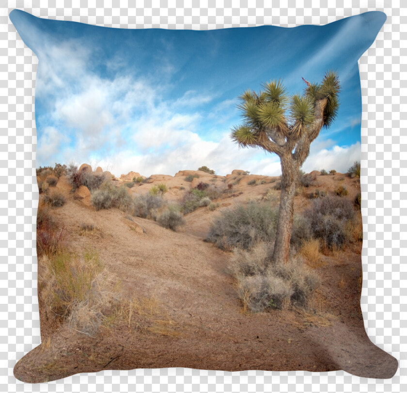 Image Of Joshua Tree  Ca  HD Png DownloadTransparent PNG