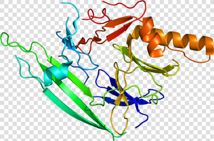 Protein Ern1 Pdb 2hz6   Unfolded Proteins  HD Png DownloadTransparent PNG
