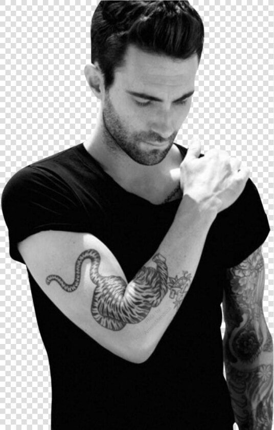 Adam Levine   Png Download   Traditional Tiger Arm Tattoo  Transparent PngTransparent PNG