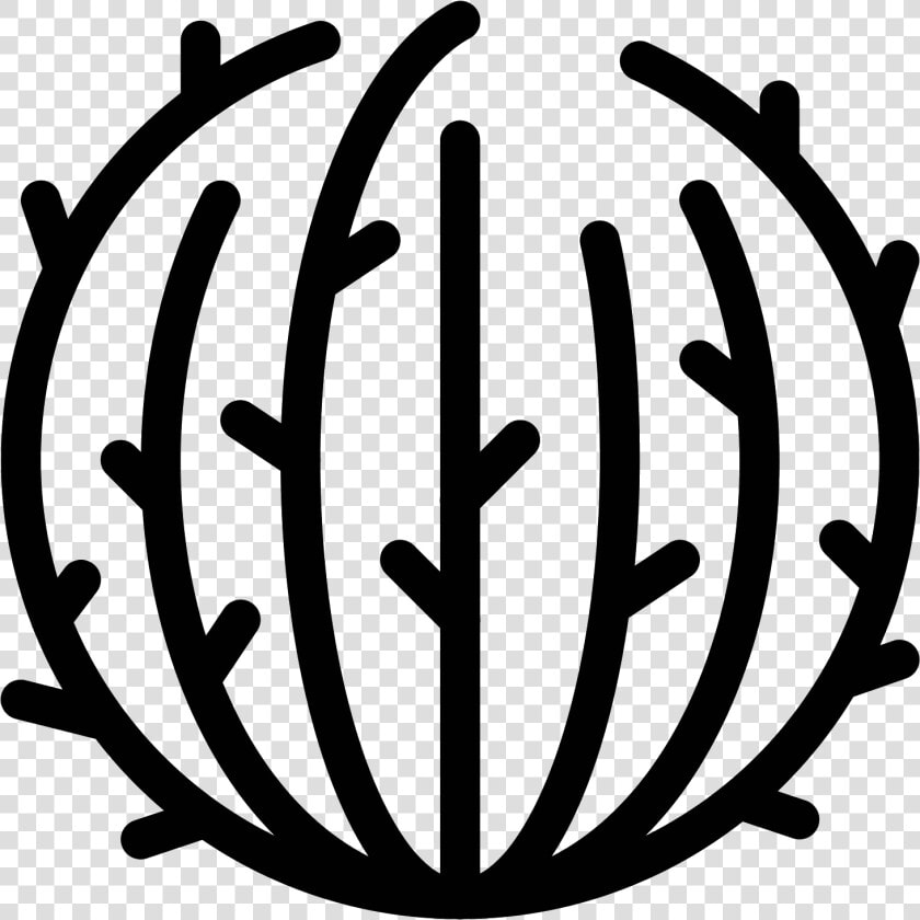 Tumble Weed Png   Tumbleweed Icon Transparent  Png DownloadTransparent PNG