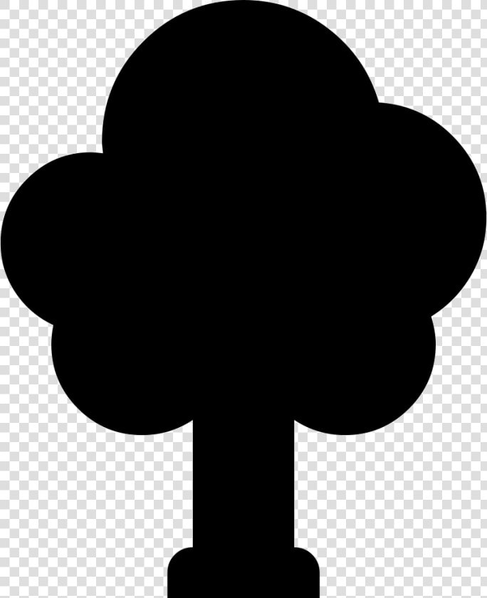Tree Deciduous  HD Png DownloadTransparent PNG