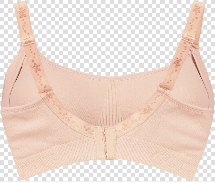 Brassiere  HD Png DownloadTransparent PNG