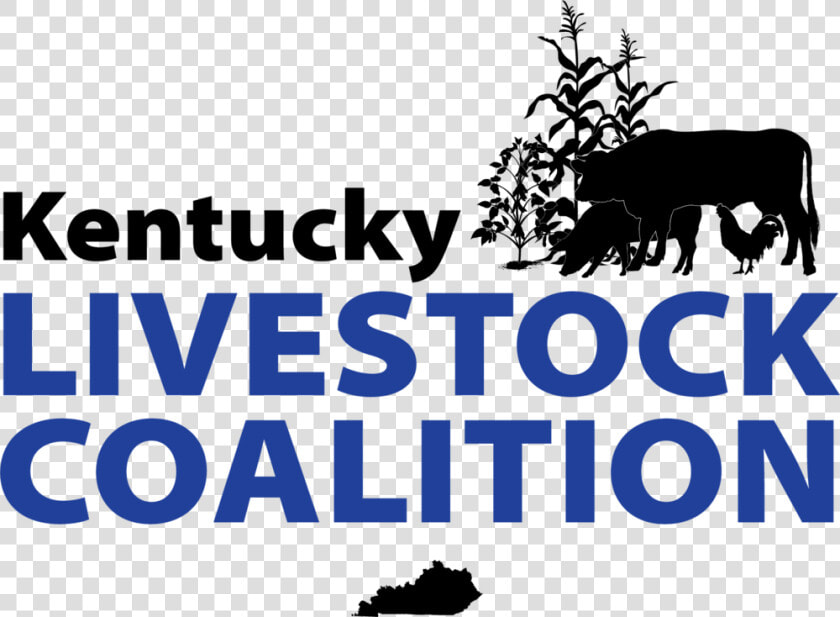 Cows Png  Transparent PngTransparent PNG