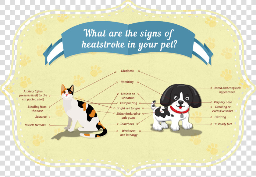 What Are The Signs Of Heatstroke In Your Pet   Heat Stroke Animals  HD Png DownloadTransparent PNG