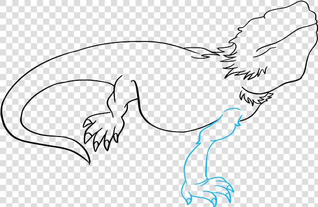 How To Draw Bearded Dragon Lizard  HD Png DownloadTransparent PNG