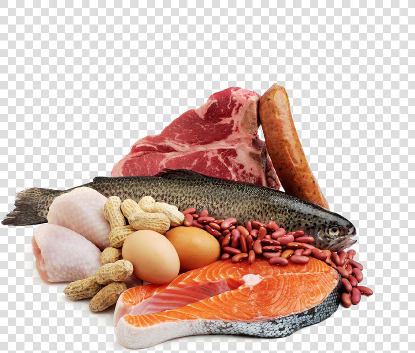 Seafood Meat Fish Protein   Meat And Fish Png  Transparent PngTransparent PNG