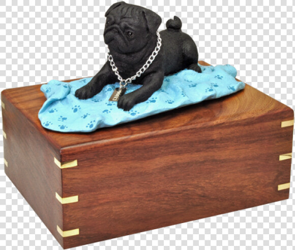 Dog Breed  HD Png DownloadTransparent PNG