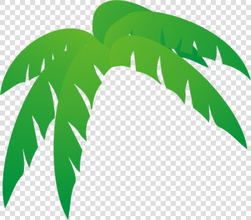 Palm S Tree Leaves Vector Illustration   Palm Tree Leaves Cartoon  HD Png DownloadTransparent PNG