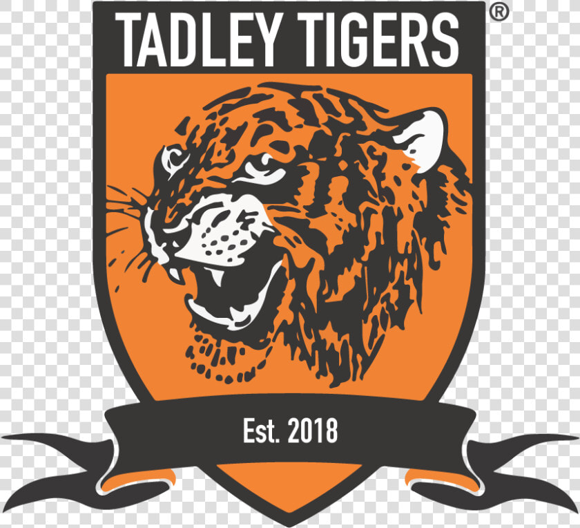 Tadley Tigers Fc   Hull City Logo Png  Transparent PngTransparent PNG