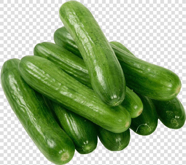Cool Cucumber Free Vegetables Clipart Fruit Names A   Single Vegetables Png Hd  Transparent PngTransparent PNG