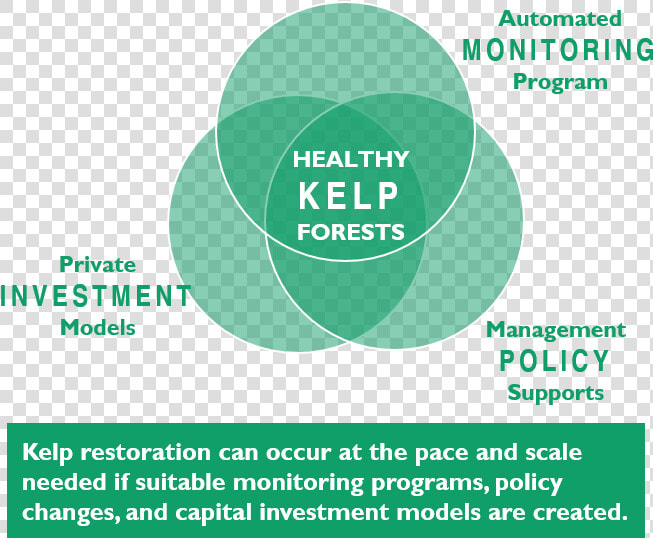 Kelp 3part   Circle  HD Png DownloadTransparent PNG