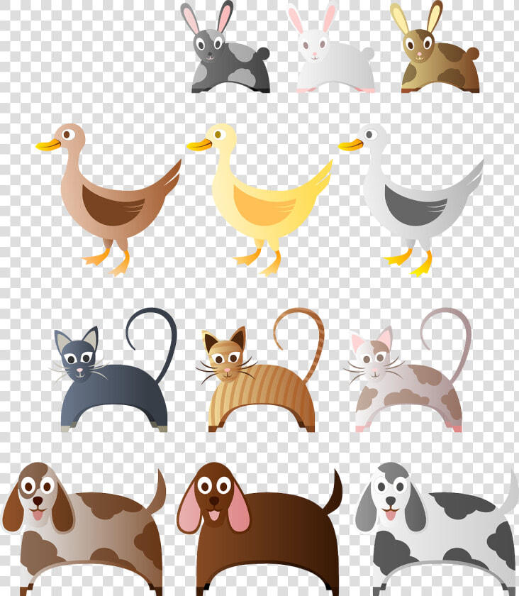 Responsible Dog Ownership  HD Png DownloadTransparent PNG