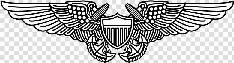 Naval Flight Officer Pin  HD Png DownloadTransparent PNG