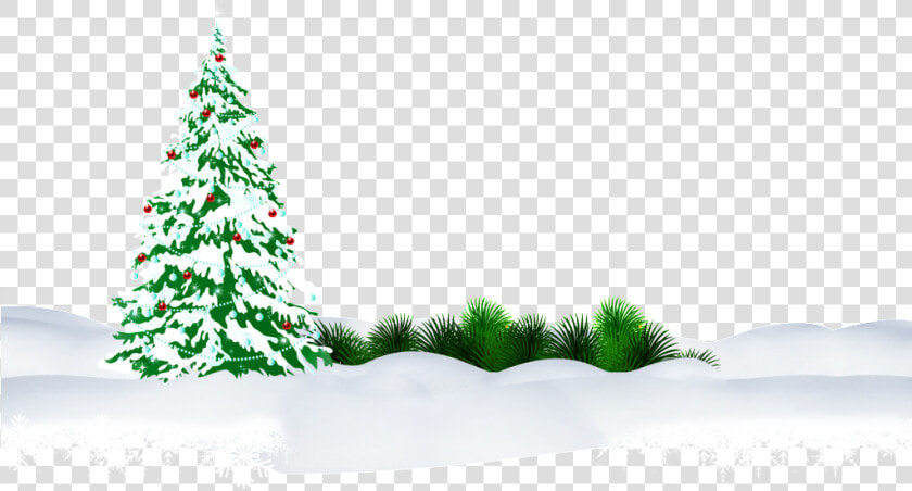 Green And Snowy Christmas Png   Christmas Tree  Transparent PngTransparent PNG