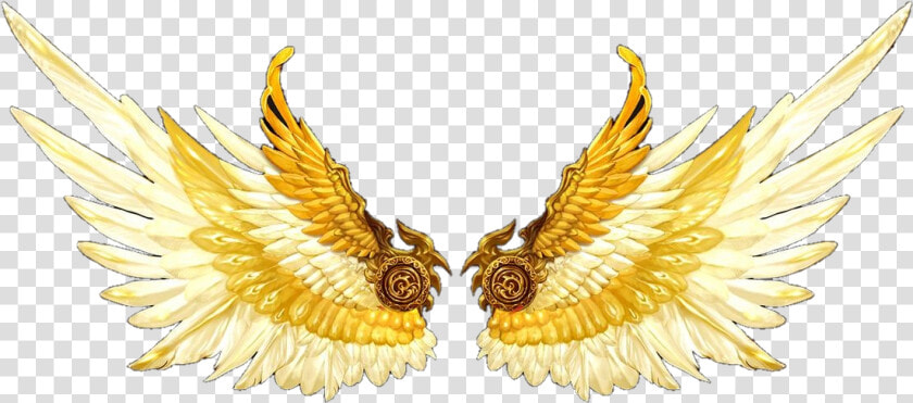  freetoedit eemput  wings  sayap  gold   Golden Eagle  HD Png DownloadTransparent PNG
