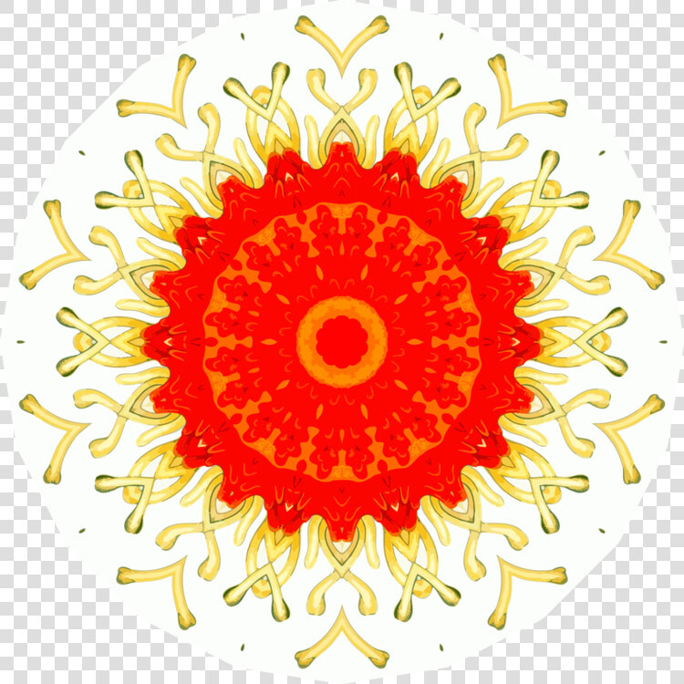 Visual Arts flower symmetry   10 Rs Price Tag  HD Png DownloadTransparent PNG