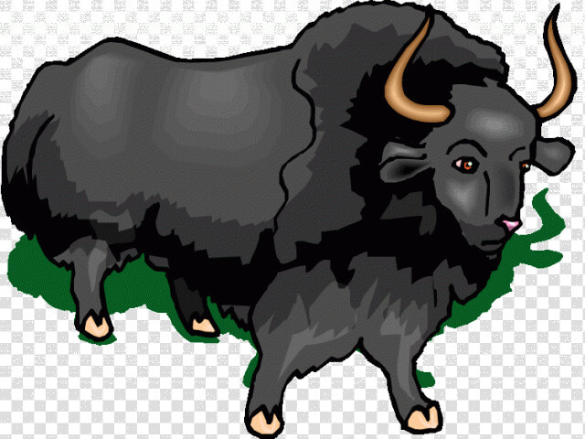 Muskox Clipart Buffalo   Bull  HD Png DownloadTransparent PNG