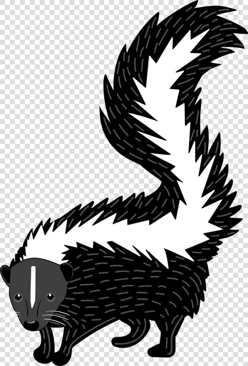 Skunk Clipart Woodland Creature   Illustration  HD Png DownloadTransparent PNG