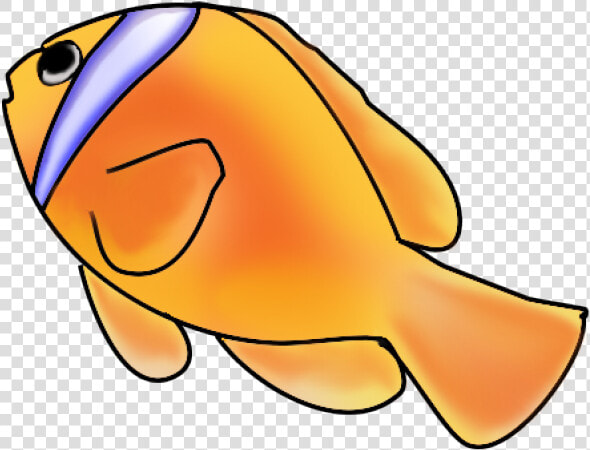 Gold Fish Clipart Swimming Animal   Fish Swimming Clipart Png  Transparent PngTransparent PNG