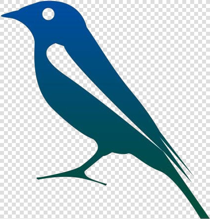 Rainforest Birds Png Transparent Images   Mountain Bluebird  Png DownloadTransparent PNG